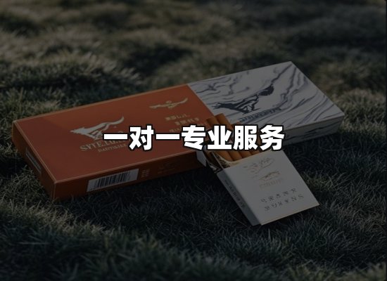 专业优势